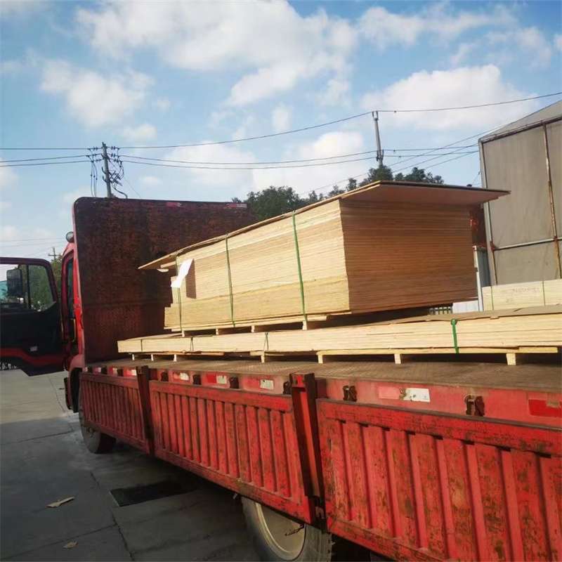 福建泉州丰泽至塔城货运专线，一站式物流服务助您成功